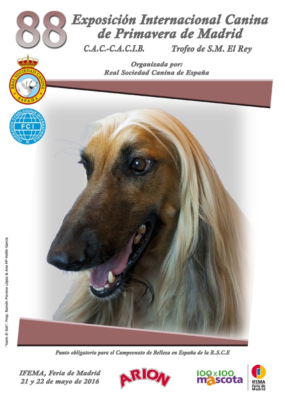 Perro de 6 Encantos Antiguo Tono Plata A897