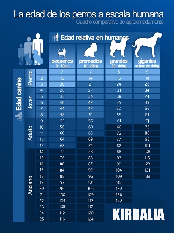 Edad de los perros a escala humana