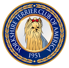 El Yorkshire Terrier  Club of America