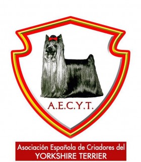 Asociación Española de Criadores de Yorkshire Terrier A.E.C.Y.T.