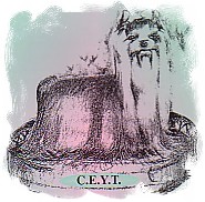Club Español del Yorkshire Terrier C.E.Y.T.