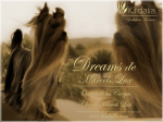 Dreams de Marvels Lux