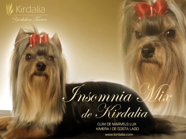 Insomnia Mix de Kirdalia