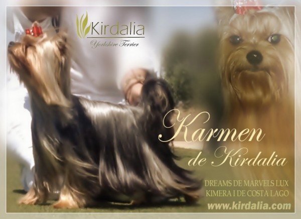 Kirdalia Yorkshire Genealogía (Pedigrí) Karmen de Kirdalia Karmen de Kirdalia