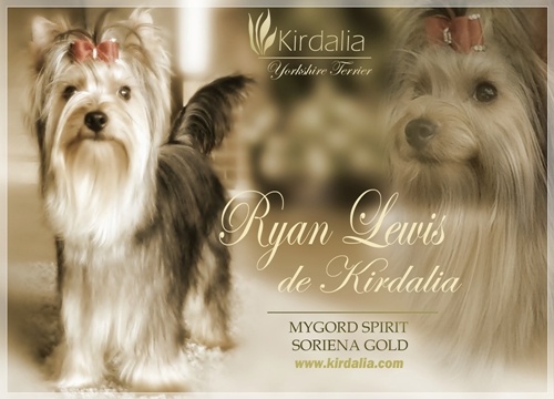 Ryan Lewis de Kirdalia