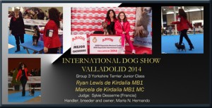 Exposición Internacional Canina Valladolid 2014