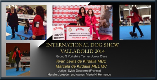 Exposición Internacional Canina Valladolid 2014 Ryan Lewis de Kirdalia MB1 Marcela de Kirdalia MB1 MC