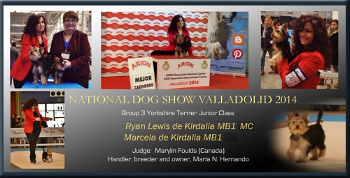 Exposición Nacional Canina Valladolid 2014 