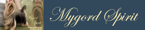 Espíritu Mygord