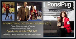 International Dog Show CACIB Asturias