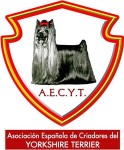 Asociación Española de Criadores del Yorkshire Terrier - AECYT