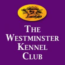 El Westminster Kennel Club