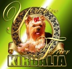 Kirdalia Yorkshire Terrier, El Yorkshire Terrier, Ficha descriptiva