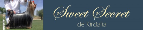 Sweet Secret de Kirdalia