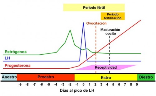 fisiologia2