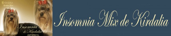 Insomnia Mix de Kirdalia2