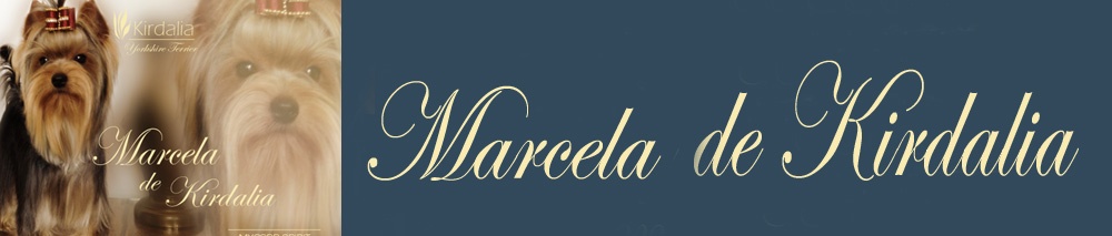 Marcela de Kirdalia