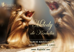 Mélody de Kirdalia