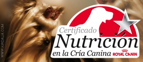 Certificado de nutricion en la cría canina