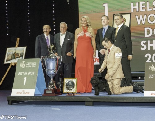 FCI WORLD DOG SHOW 2014 RESULTS BEST IN SHOW Judge: Lehtinen Hans Tricky Ricky From Yarrow-Hi Tech om. Budiman Jongkie & Cooijmans Mieke & None None, INDONESIA