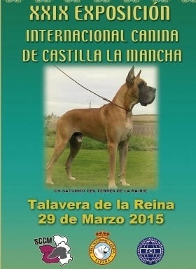 Exposición Internacional Canina Talavera 2015