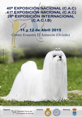 Exposición Nacional Internacional Asturias 2015