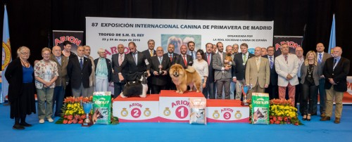 RESULTADOS, EXPOSICIÓN INTER CANINA MADRID 2015