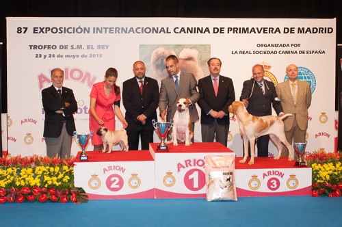 RESULTADOS, EXPOSICIÓN INTER CANINA MADRID 2015