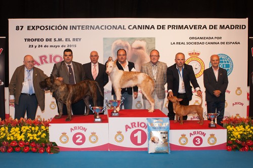 RESULTADOS, EXPOSICIÓN INTER CANINA MADRID 2015