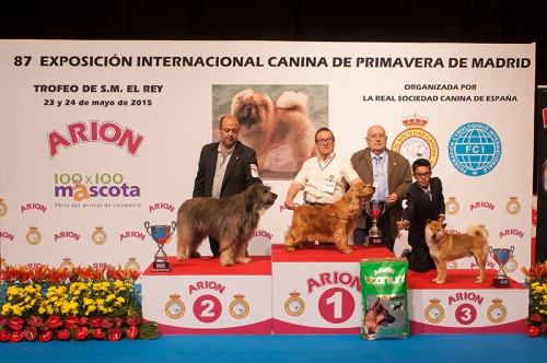 RESULTADOS, EXPOSICIÓN INTER CANINA MADRID 2015