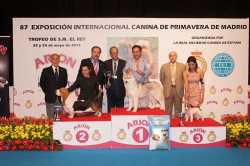 RESULTADOS, EXPOSICIÓN INTER CANINA MADRID 2015