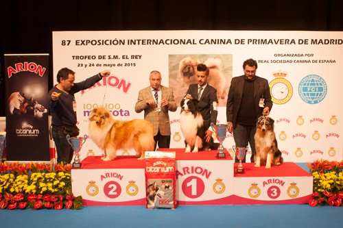 FINALES GRUPO 1 EXPOSICION INTERNACIONAL PRIMAVERA DE MADRID 2015