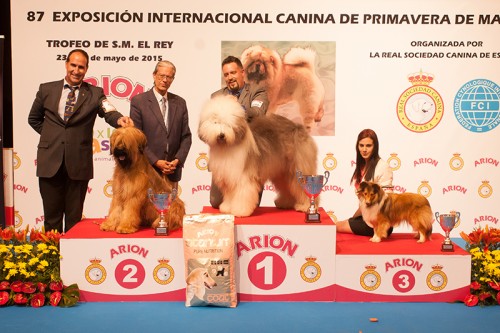 FINALES GRUPO 1 (JOVENES) EXPOSICION INTERNACIONAL PRIMAVERA DE MADRID 2015