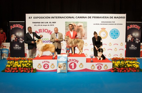 FINALES GRUPO I CACHORROS EXPOSICION INTERNACIONAL PRIMAVERA DE MADRID 2015