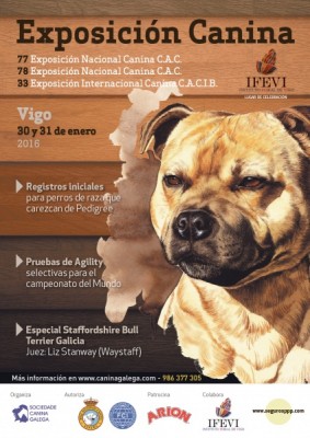 Exposición Nac Int Canina Vigo 2016