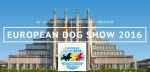 FCI-European Dog Show 2016 in Brussels Belgium