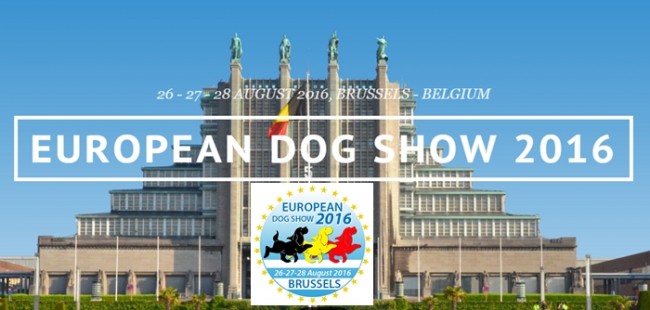 FCI-European Dog Show 2016 in Brussels, Belgium