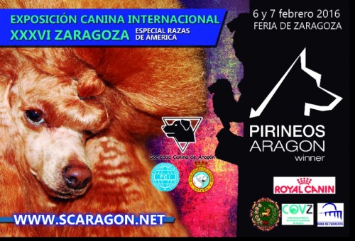 EXPOSICION CANINA INTERNACIONL ZARAGOZA 2016