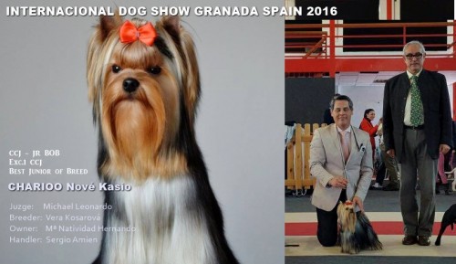 Exposición Internacional Granada 2016