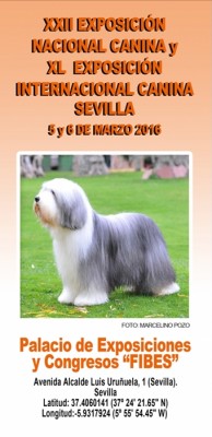 Exposición Nac Inter Canina Sevilla 2016