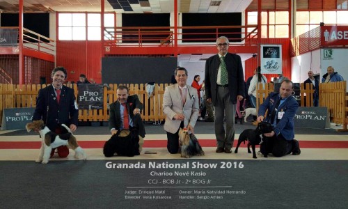 Exposición Nacional Granada 2016