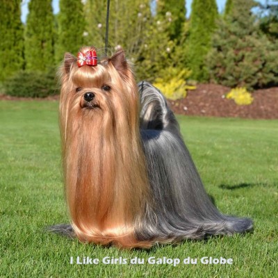 I Like Girls du Galop du Globe