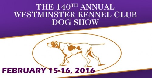 Westminster Kenne Club Dog Show 16