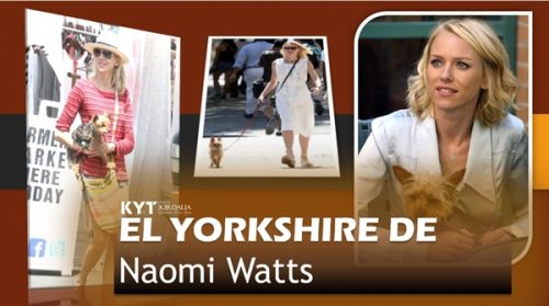 el-yorkshire-de-naomi-watts