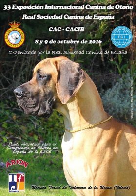 Exposición Internacional Canina de otoño Talavera 2016