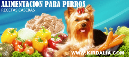 Arroz con verduras, recetas de comida casera para perros