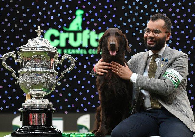 Champion  Criadores Yorkshire Madrid